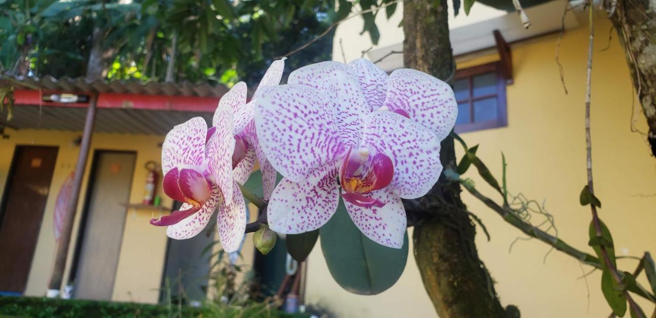 Pousada Mixirica Trindade  Luaran gambar